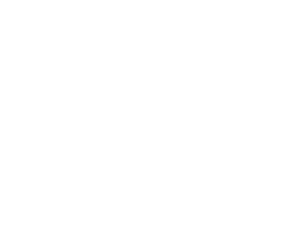 Royal LePage Award of Excellence — Lifetime Member